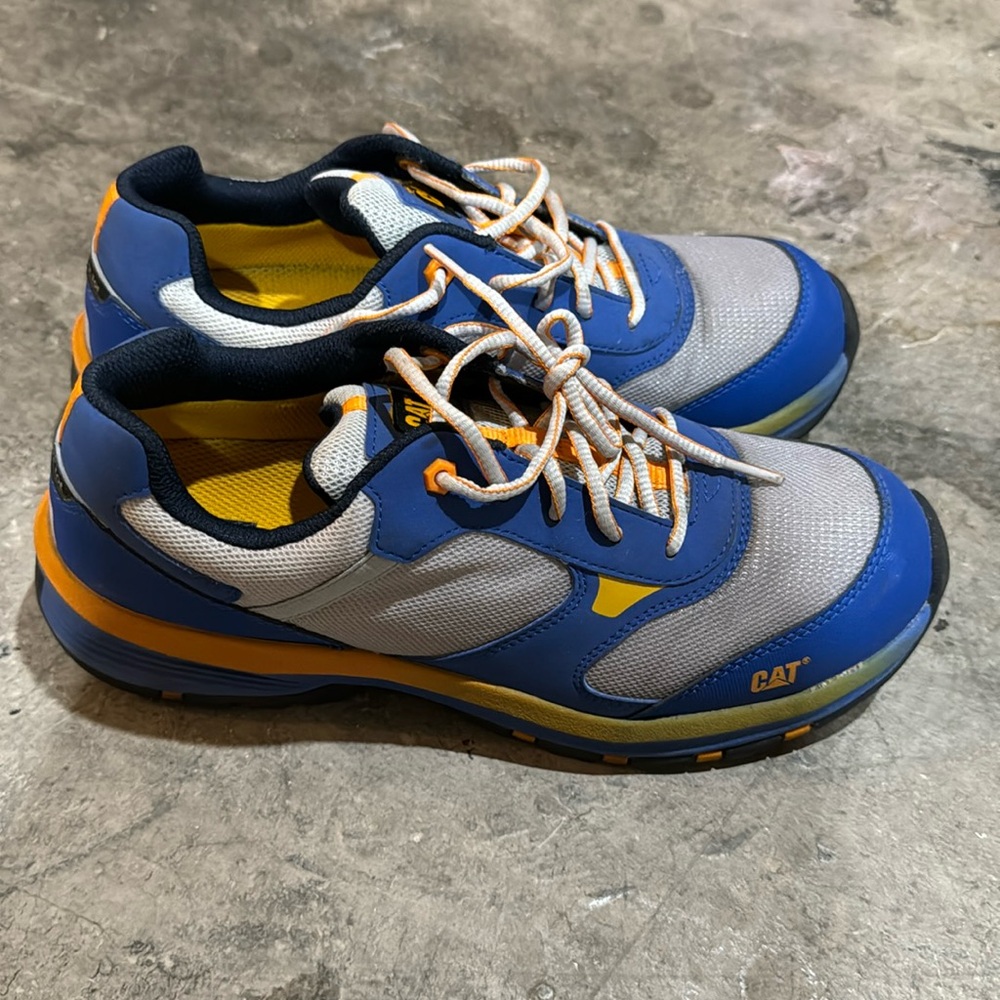 Cat shoes